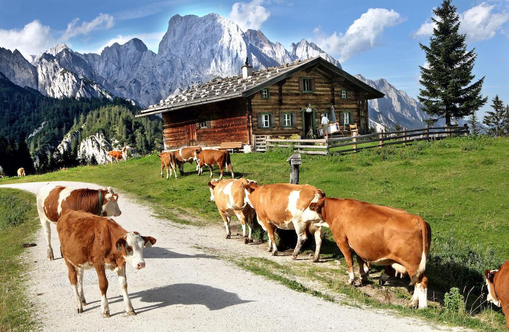Ferienwohnungen Schweinoester Lofer Luaran gambar